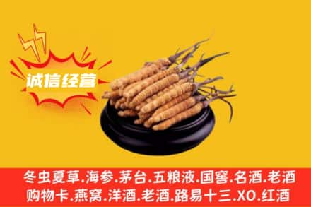 桂林七星区回收冬虫夏草
